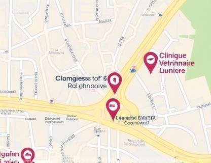 Plan d’accès à la Clinique Vétérinaire Lumière, Lyon