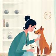 Consultations vétérinaires à la Clinique Lumière à Lyon