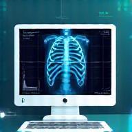 Imagerie vétérinaire - radiographie et échographie à Lyon
