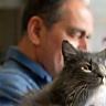 Samir Benkiran et son chat gris soigné à Lyon